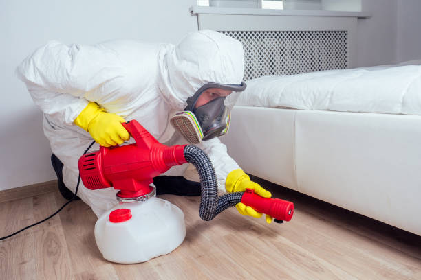 Best Residential Pest Control  in Springdale, NC